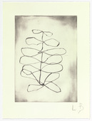 Louise Bourgeois. Untitled, plate 14 of 15, from the series, Nature Study. 2009