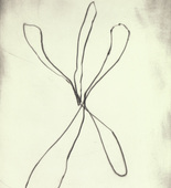 Louise Bourgeois. Untitled, plate 9 of 15, from the series, Nature Study. 2009