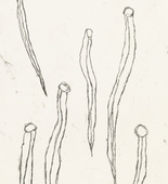 Louise Bourgeois. The Little Leeches. 2007
