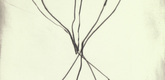 Louise Bourgeois. Untitled, plate 9 of 15, from the series, Nature Study. 2009