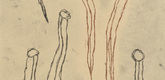 Louise Bourgeois. The Little Leeches. 2007
