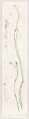Louise Bourgeois. Winter. 2008