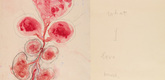 Louise Bourgeois. Untitled, no. 3 of 6, from the series, I Give Everything Away. 2010