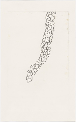 Louise Bourgeois. Plate 7 of 7 from Look Up! 2005