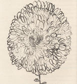 Louise Bourgeois. Untitled, plate 1 of 10, from the illustrated book, Homely Girl, A Life, volume I. 1992