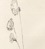 Louise Bourgeois. Untitled, plate 4 of 10, from the illustrated book, Homely Girl, A Life, volume I. 1992