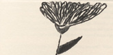 Louise Bourgeois. Untitled, plate 6 of 10, from the illustrated book, Homely Girl, A Life, volume I. 1992