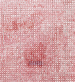 Louise Bourgeois. Untitled. 2001