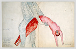 Louise Bourgeois. Untitled. 1991