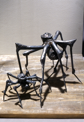 Louise Bourgeois. Spider Home. 2003