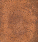 Louise Bourgeois. Untitled (Copper plate for Tornado). 1991-1992