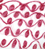 Louise Bourgeois. Untitled. 1998