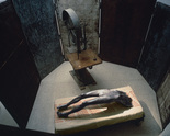 Louise Bourgeois. Cell (Arch of Hysteria). 1992-1993