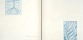 Louise Bourgeois. Spring and The Underground Life of Fear, plates 12 and 13 of 18 (diptych), from the illustrated book, One's Sleep (1). 2003