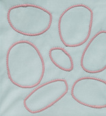 Louise Bourgeois. Untitled, no. 25 of 34, from the illustrated book, Ode &agrave; l'Oubli. 2004