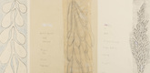 Louise Bourgeois. Untitled, no. 2 of 4, from the series, Inner Truths or Outer Truths. 2007
