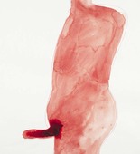 Louise Bourgeois. Male Figure. 2009