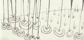 Louise Bourgeois. Rain Falling on Water. 2002