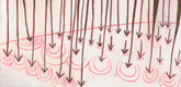 Louise Bourgeois. Rain Falling on Water. 2003