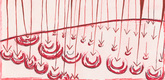 Louise Bourgeois. Rain Falling on Water. 2003