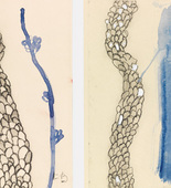 Louise Bourgeois. Nous Sommes Cinq. 2007