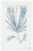 Louise Bourgeois. Untitled (Branch with Needles), in Les Arbres (3), from the editioned series of portfolios, Les Arbres (1-6). 2004