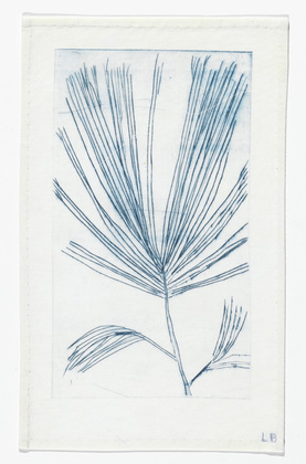 Louise Bourgeois. Untitled (Branch with Needles), in Les Arbres (3), from the editioned series of portfolios, Les Arbres (1-6). 2004