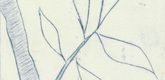 Louise Bourgeois. Untitled (Branch with Two Offshoots), in Les Arbres (5), from the editioned series of portfolios, Les Arbres (1-6). 2004