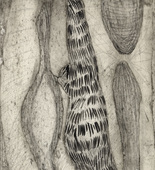 Louise Bourgeois. Les Mollusques. c. 1948