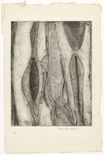 Louise Bourgeois. Les Mollusques. c. 1948