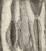 Louise Bourgeois. Les Mollusques. c. 1948