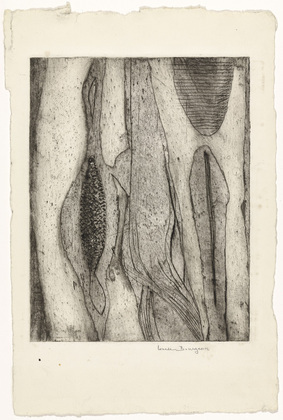 Louise Bourgeois. Les Mollusques. c. 1948
