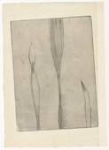 Louise Bourgeois. Pousses de Plantes. c. 1948