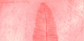 Louise Bourgeois. Feather Thoughts. 2006