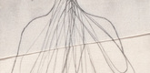 Louise Bourgeois. Nature Study. 2009