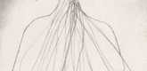 Louise Bourgeois. Nature Study. 2009