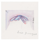 Louise Bourgeois. Plant Study. 2008