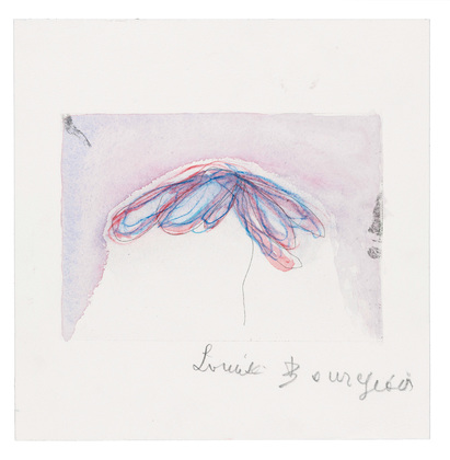 Louise Bourgeois. Plant Study. 2008