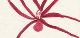 Louise Bourgeois. Spider. 2007