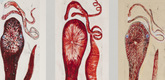 Louise Bourgeois. Le P&egrave;re et les 3 Fils. 2007
