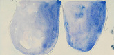 Louise Bourgeois. Germinal Bleu. 2006