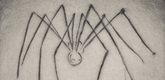 Louise Bourgeois. Untitled, plate 7 of 9, from the illustrated book, Ode &agrave; Ma M&egrave;re. 1995