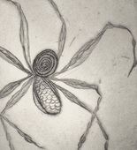 Louise Bourgeois. Untitled, plate 8 of 9, from the illustrated book, Ode &agrave; Ma M&egrave;re. 1995