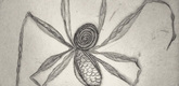 Louise Bourgeois. Untitled, plate 8 of 9, from the illustrated book, Ode &agrave; Ma M&egrave;re. 1995