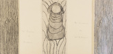 Louise Bourgeois. Untitled, no. 2 of 5, from the series, The Vocabulary of Seduction. 2007