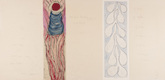 Louise Bourgeois. Untitled, no. 3 of 4, from the series, What Why When Where Who and How!! 2008