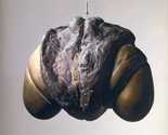 Louise Bourgeois. Janus Fleuri. 1968