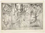 Louise Bourgeois. Laurel Easton. 1944