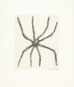 Louise Bourgeois. Hairy Spider. 2001