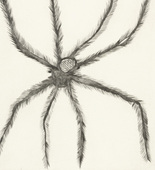 Louise Bourgeois. Hairy Spider. 2001